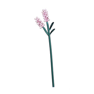 Pink Lavender Flower