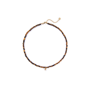 Tigers' Eye Bead Necklace with Pill Charm